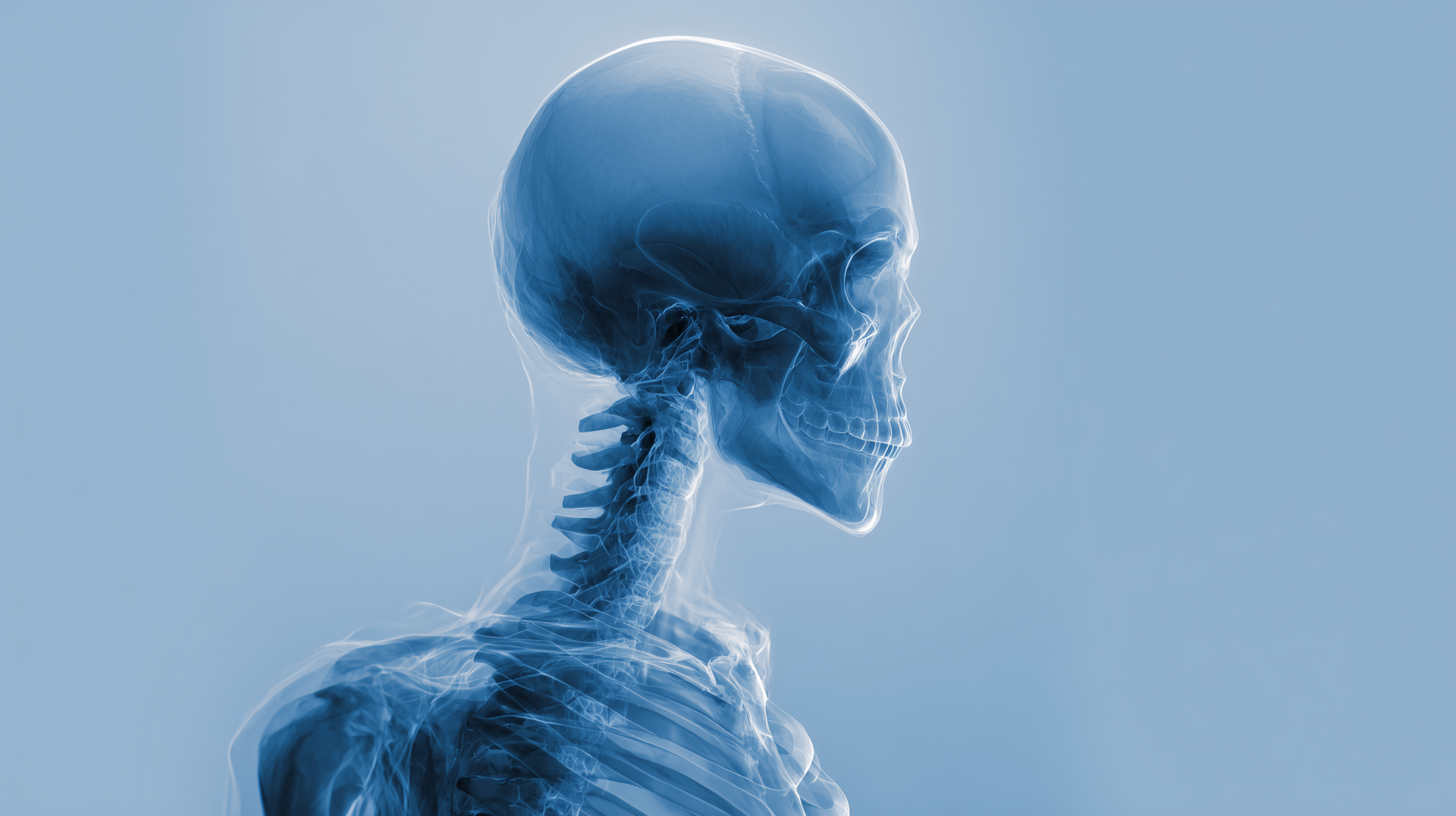 260120_CERTANIA_Spineserv_AI_HumanSkeletonXRay