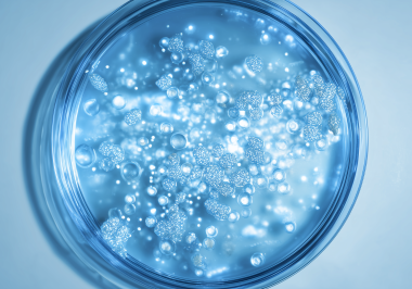 260120_CERTANIA_OEHMIAnalytik_AI_PetriDishWater