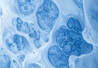 Firefly_ultra macro view of a biological cell membrane, soft blue, ultra realistic scientif 61045 Firefly_ultra macro view of a biological cell membrane, soft blue, ultra realistic scientif 61045