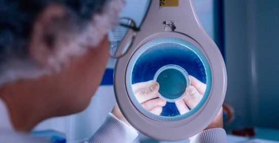 Icare_KeyVisual_web Icare_KeyVisual_web