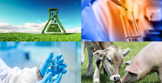 Triskelion_ohne_Logo Triskelion_ohne_Logo