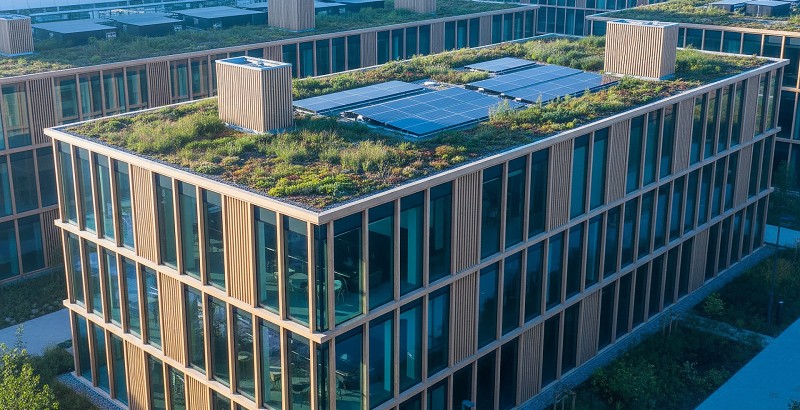 certania_ica_keyvisual certania_ica_keyvisual