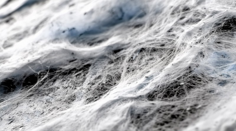 certania_services_Asbestos_inspection certania_services_Asbestos_inspection