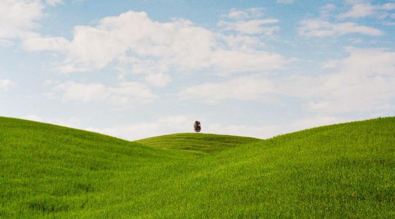 certania_services_environmental_standards certania_services_environmental_standards