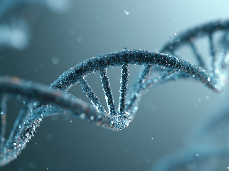 260120_CERTANIA_bioarry_AI_DNABlueStructure